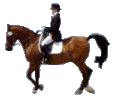 horse_44.gif